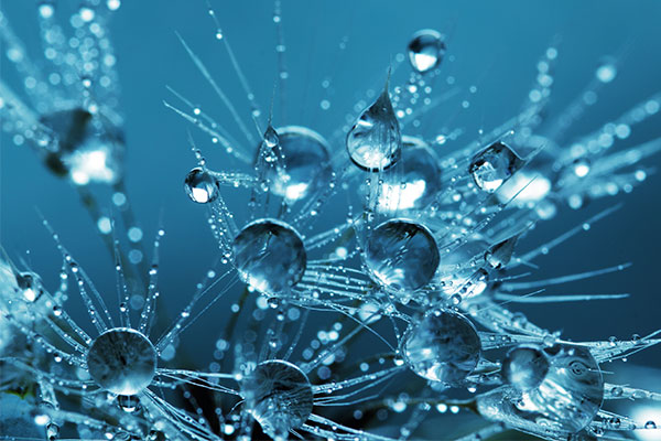 Why It’s Important To Use L-Methylfolate Calcium With Perfect Stability?