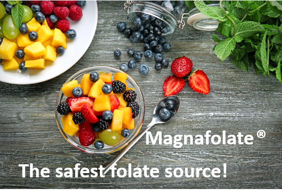 Do you know what potential health risks bring by folic acid?