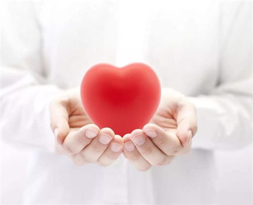 Research shows 5-MTHF may benefit heart health-Magnafolate