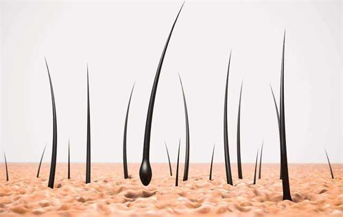 Folic acid is good for hair growth? Magnafolate