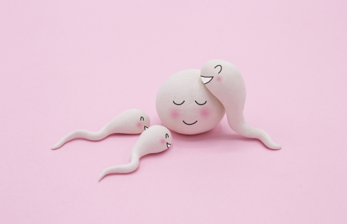 Folic acid may improve fertility -Magnafolate