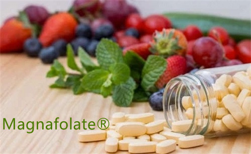 Foods high in folat |Magnafolate