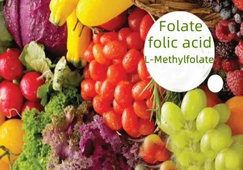Folate (folic acid) and L-Methylfolate