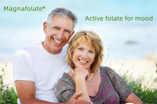 The active folate for mood​
