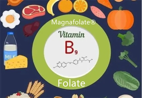 Folic acid,folate and L Methylfolate