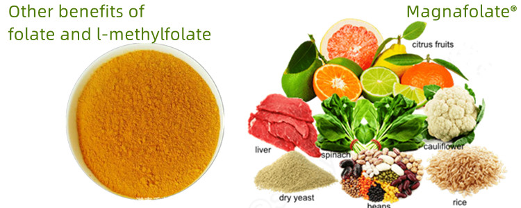Other benefits of folate and L-Methylfolate