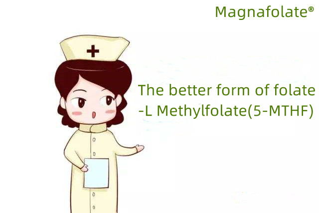 Folate and L-Methylfolate for Brain Health