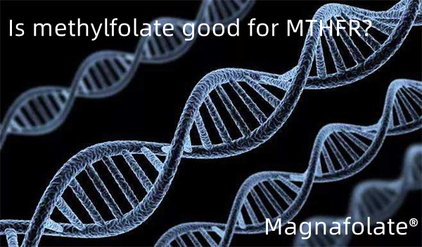 Is methylfolate good for MTHFR?