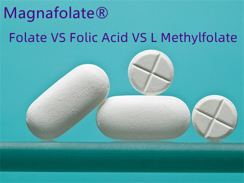 Folic Acid vs. Folate: Which is Better?