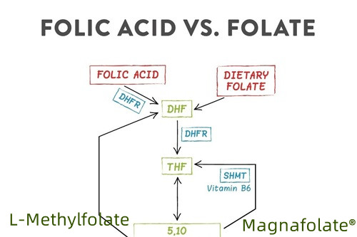 What is the best form of folate?