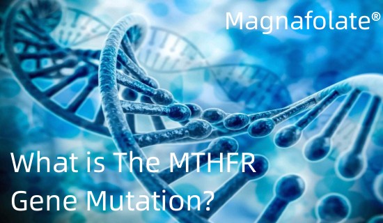 What is The MTHFR Gene Mutation?