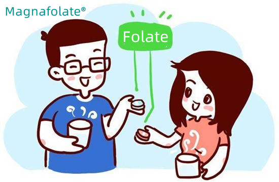 How much folate should you take a day?