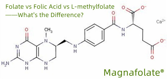 Is methylfolate a form of folic acid?