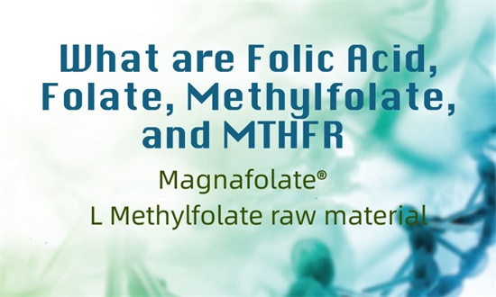 What are folic acid,folate,methylfolate and MTHFR?