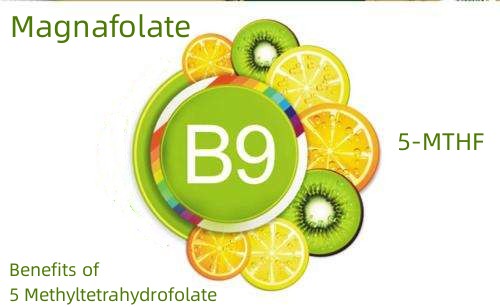 Benefits of 5 Methyltetrahydrofolate