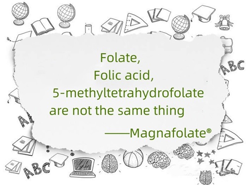 Folate,folic acid and 5-methyltetrahydrofolate are not the same thing