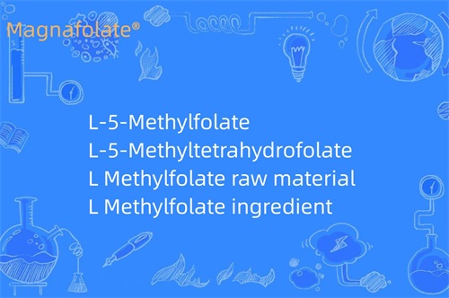 What does L Methylfolate do?
