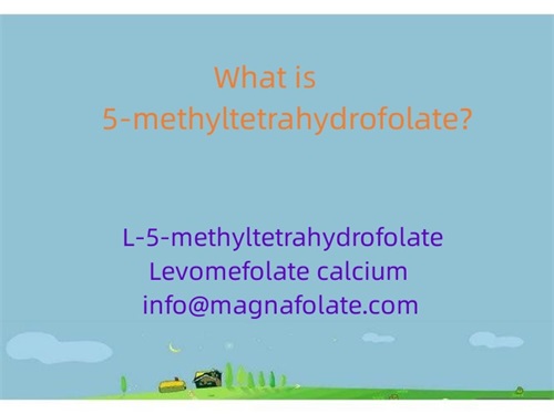 What is 5-methyltetrahydrofolate?
