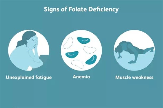 What is folate and what are its effects?
