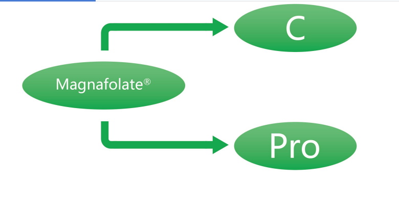 Magnafolate C and Pro—L-Methylfolate Calcium