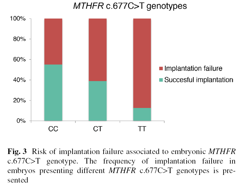 Repeated Implantation Failure Despite Chromosomally Normal Embryos: Could a Parental Gene Variant Be the Missing Clue?